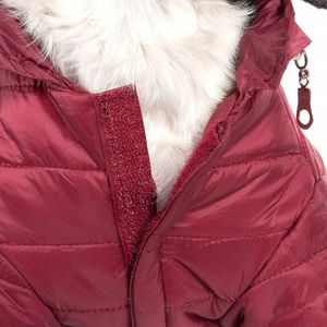 Abrigo Deportivo Ligero y Ajustable para Mascotas, Ropa Premium para Mascotas - Product Image 4