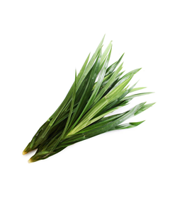 LAS HOJAS DE PANDAN NATURALES PROPORCIONAN UN SABOR DE ALTA CALIDAD A LOS POSTRES Y BEBIDAS A PRECIOS COMPETITIVOS PARA EXPORTACIÓN EN 2026. - Product Image 3