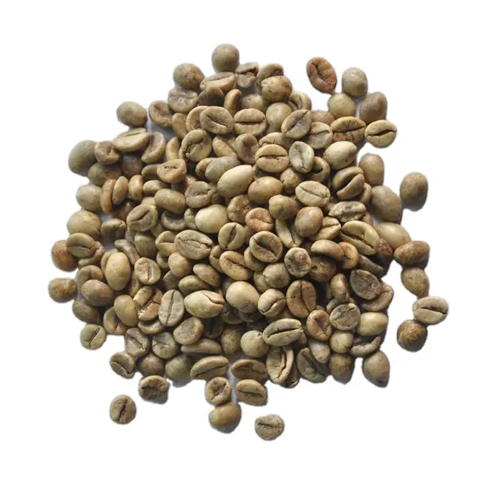 ベトナムロブスタグリーンコーヒー豆-ベトナム製高品質ロブスタコーヒー