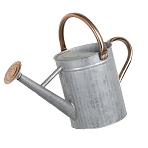 Luxury Unique Design for Watering <b>Garden</b> and Plant Ware Iron Metal Water Can Home Hotel Restaurant <b>Garden</b> Used Water Can - Product Image 2