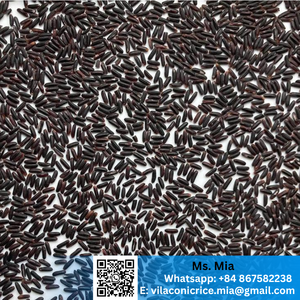 Arroz Negro de Alta Calidad, Alimento Saludable Rico en Fibra y Nutrientes de Vietnam. Muestra gratuita, contacte al +84 867582238 - Product Image 4