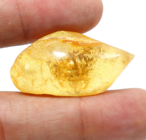 Cabochon lisse en ambre naturel de la Baltique avec insectes inclus, pierre précieuse en ambre en vrac - Product Image 2