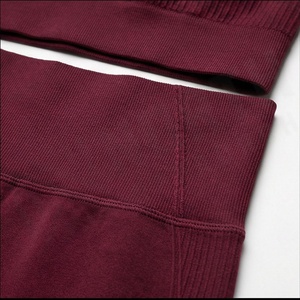 Ropa Deportiva sin Costuras para Mujer, Conjunto de Yoga de Alta Elasticidad, Sujetador Deportivo Transpirable, Leggings, Ropa Deportiva Activa - Product Image 5