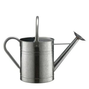 Arrosoir de jardin en métal rustique industriel avec finition mate pour la décoration moderne de la maison et du patio, multi-usages en métal - Product Image 1