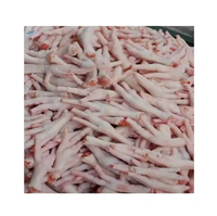 Fournisseur de prix de gros : Pattes de poulet congelées / Pieds / Ailes à joint moyen