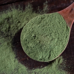 Natural Dried Moringa Oleifera Leaf Fine Powder Rich Fiber Superfood Mix Baking Cooking Seasoning Raw Material Wholesale - Product Image 4