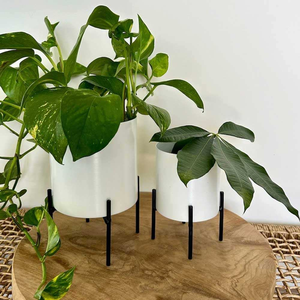 Maceta Decorativa para Orquídeas Hecha a Mano, Maceta de Jardín para Interiores, Exportador Indio, Alta Calidad - Product Image 2