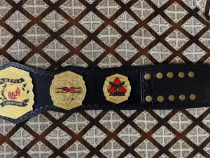 Cinturón de Campeón Mundial de Lucha Libre TNA, Chapado en Oro, Cuero PU, Unisex, Equipo de Artes Marciales - Product Image 3