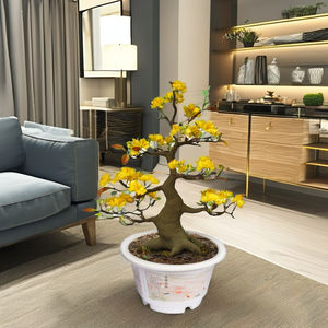 Maceta en forma de campana superventas, maceta de plástico de alta calidad para decoración del hogar y el jardín - Product Image 1