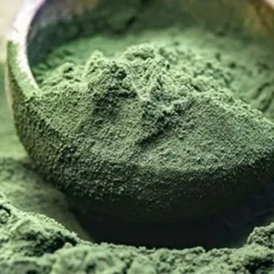 Espirulina en Polvo de Alta Calidad, Superalimento Natural, Rico en Hierro, Proteínas y Antioxidantes para la Inmunidad y Desintoxicación, Venta al Por Mayor - Product Image 1