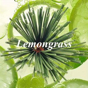 100Pcs 22cm Lemongrass <b>Incense</b> Sticks Outdoor Camping Aroma Bamboo <b>Incense</b> <b>Holders</b> for Home <b>Aromatherapy</b> <b>Diffuser</b> - Product Image 2