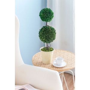 Vaso Crema D7x22"H con Sfera di Bosso Artificiale a Due Livelli, Piante e Fogliame Finti - Product Image 4