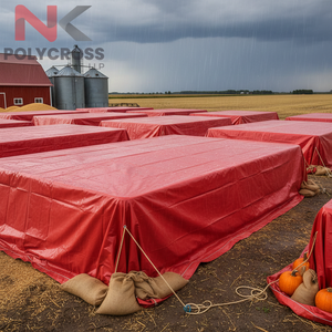 Feuille de protection agricole sur mesure pour le marché d'exportation – Qualité supérieure pour les opérations agricoles commerciales - Product Image 2