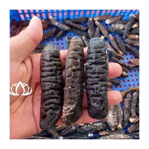 หอยเป๋าฮื้อทั้งตัว เกรดพรีเมียม บรรจุภัณฑ์แบบแพ็คใหญ่ อาหารทะเลคุณค่าทางโภชนาการ - Product Image 5