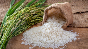 Riz étuvé de qualité supérieure en gros, approvisionnement en vrac, prêt à expédier, qualité alimentaire, best-seller, export - Product Image 4