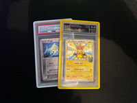 Nouveau panneau arrière en acrylique transparent pour cartes gradées, protection antichoc pour PSA Slab, protège-cartes coloré, protection antichoc pour cartes gradées, couleurs assorties