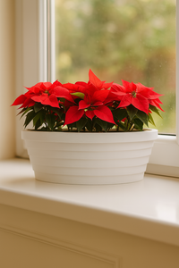 Pot de plantes en forme de bateau Pots en plastique pour décoration de balcon pour intérieur et extérieur - Product Image 2