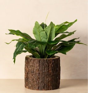 Maceta de Madera Natural Ecológica Hecha a Mano con Forma de Tronco de Árbol para Decoración del Hogar y Jardinería - Product Image 5