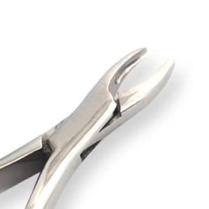 คีมถอนฟันแบบใช้มือ # เครื่องมือถอนฟันสแตนเลสเกรดผ่าตัด 1S พร้อมด้ามจับตามหลักสรีรศาสตร์ ได้รับการรับรองมาตรฐาน CE - Product Image 4