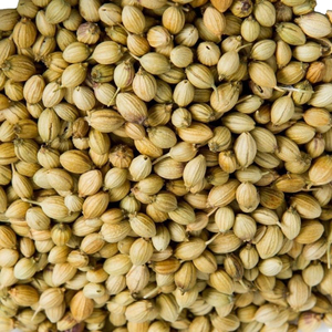 Graines de coriandre de qualité supérieure en gros, export en vrac, qualité alimentaire, stock disponible, meilleure qualité, approvisionnement - Product Image 6