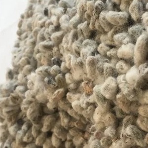 Producto Agrícola, Alimento para Animales, Semillas de Algodón Enteras - Product Image 1