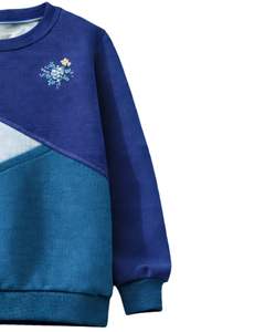 Sudadera de Mujer en Bloques de Color Azul Rey y Verde Azulado, de Forro Polar Suave, Cuello Redondo, Informal, para Invierno, con Detalle Bordado, Prenda Superior de Moda - Product Image 3