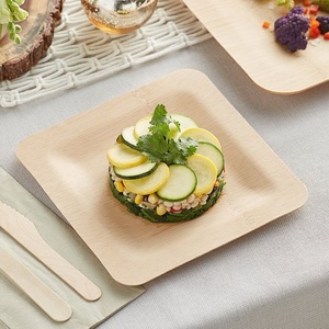 Assiettes en feuilles d'arec pour la restauration de rue et les food trucks, assiettes carrées de 10 pouces, pour la restauration rapide et les collations, pour un service et un emballage alimentaires haut de gamme - Product Image 1