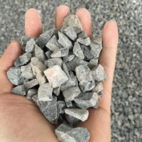 Poudre de Dolomite Marque SHC Chaux Vive 55% CaO Dessiccant Meilleur Prix Gris pour l'Acier, l'Agriculture et la Fabrication du Verre Exporté du Vietnam