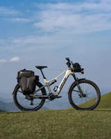 Vélo électrique Amflow TL Carbon 800 Wh avec batterie, nouveau modèle, moteur Dji Avinox M2, unité de transmission 1100W, vélo de montagne électrique Amflow Ebike MTB