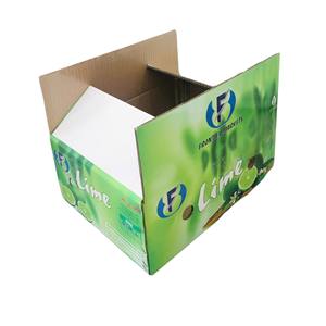 Boîte en carton d'emballage écologique recyclable OEM avec impression de logo personnalisé pour légumes frais, fruits, aliments pour animaux et farine - Product Image 2