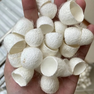 Cocon de soie blanc coupé et nettoyé pour l'exfoliation du visage, soin de la peau, qualité supérieure provenant de fermes vietnamiennes, prix abordable - Product Image 2