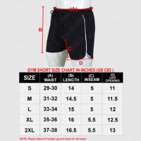 Shorts de sport en maille Blaze pour homme – Confortables, athlétiques, taille élastique, polyester extensible, couleur unie, écologiques