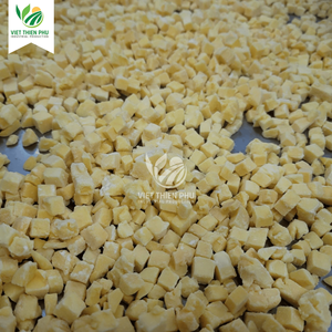 Mango en cubos congelado IQF – Calidad premium de Vietnam - Product Image 3