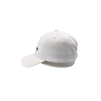 Casquettes de baseball tendance Thien Son, fournisseur d'usine, personnalisables, en coton, pour usage quotidien, avec logo brodé, décontractées ou formelles, visière pare-soleil