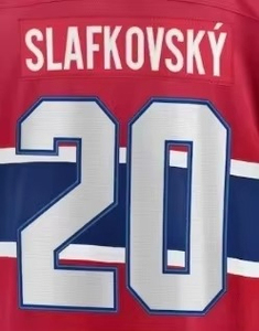 Service OEM à faible MOQ, Maillot de hockey sur glace 100% polyester respirant imprimé, Personnalisation du nom de l'équipe et de la marque, OEM ODM, Nouvelle Arrivée 2026 - Product Image 4