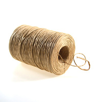 Corde de ficelle torsadée en papier kraft bio pour ferme et jardin