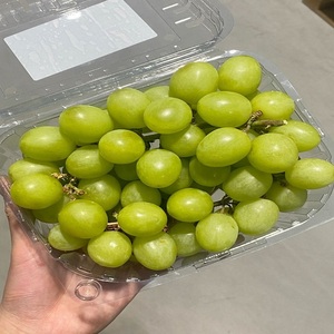 Deliciosas uvas frescas disponibles a precio de mayorista con bayas firmes, textura jugosa y un atractivo color verde para comerciantes de frutas. - Product Image 1