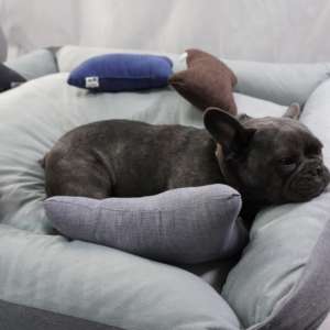 Yommy Pet Mystery Box: Regalo a Sorpresa per Animali Domestici - Accessorio per Cuccia con Comodo Cuscino - Product Image 6