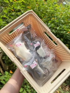 Ratones Congelados para Alimentación (10-15g) – Empaque Individual |   Enriquecido con Probióticos - Product Image 3