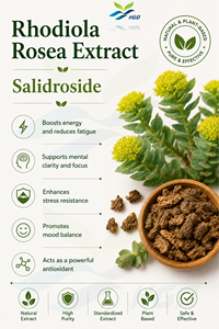 HGO Suministro directo de fábrica Extracto de Rhodiola Rosea natural puro (grado alimenticio) Especificación Salidrosida 5% (extracto estandarizado) - Product Image 2