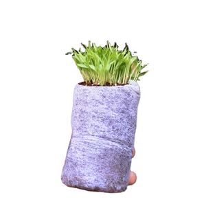 Discos de Fibra de Coco Fáciles de Usar para un Enraizamiento y Trasplante Rápidos, con Cero Tierra, para Germinación de Semillas |   GEEWIN EXIM - Product Image 3