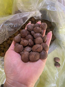 BAJO PRECIO SACHA SACHI INCHI TUERCA HACER ACEITE DE VIETNAM/Sra. Lima - Product Image 6