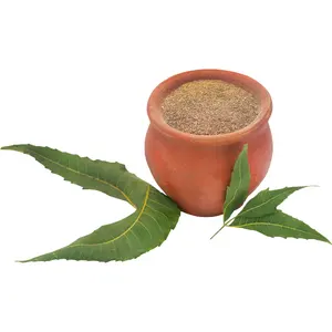 Best Private Label Neem Dry Extract Powder 100% Pure Neem Extract Solvent Extraction Neem Powder At Low Price for Bulk Buyers