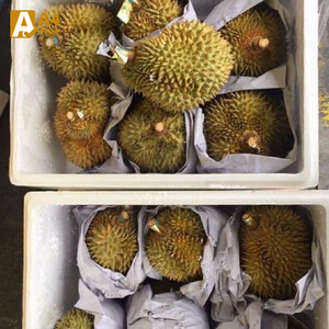 ทุเรียนหอมมะลิออร์แกนิคพรีเมียม เกรดสูง ผลไม้สด ส่งออกโดยตรงจากประเทศไทย - Product Image 5