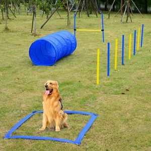 Set di 4 Collari per Addestramento Agility Cani, Ostacoli e Box Stop in PE, Attrezzatura da Esterno in Blu e Giallo, Materiale in Acciaio e PVC per Addestramento Animali - Product Image 2