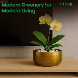 Macetas y jardineras para jardín, macetas grandes para exterior, jardineras para siembra, macetas para plantas de exterior - Product Image 4