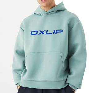 Sudadera con Capucha Unisex Extra Grande de Invierno, Bordada con Logotipo Personalizado, de Alta Calidad, Gruesa, Lisa, de Felpa Francesa, de Algodón - Product Image 1