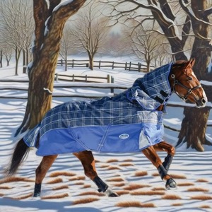 Couverture d'été Ripstop pour chevaux avec capuche intégrée, doublure en coton, tissu polyester léger, couverture d'été Ripstop pour chevaux - Product Image 6