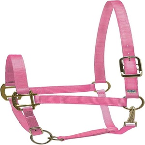 Cabestro para caballo de nailon grueso hecho a mano y colorido, con herrajes ajustables de acero inoxidable. - Product Image 3