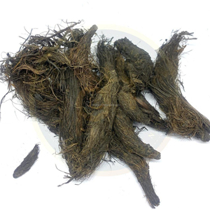 Racine de Jatamansi |   Spikenard |   Nardostachys Jatamansi |   Poudre ayurvédique 100% pure, naturelle, séchée au soleil, CareQue, durée de conservation de 24 mois - Product Image 4